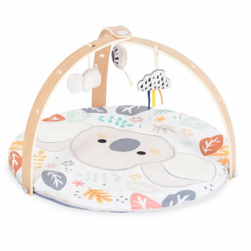 Centro Attività Moni Trade...